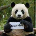 Tapanda.eu